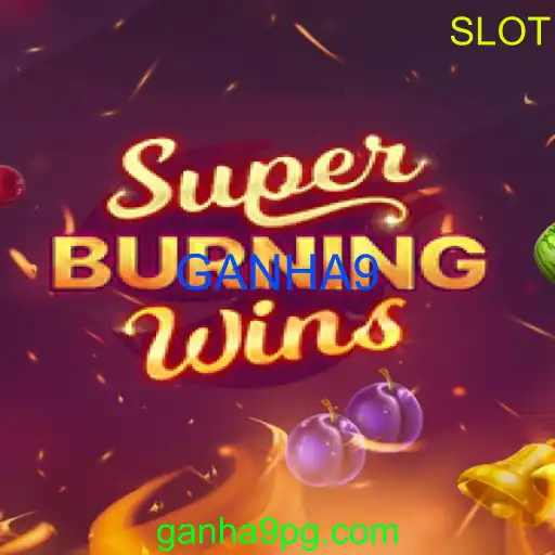 SuperBurningWins